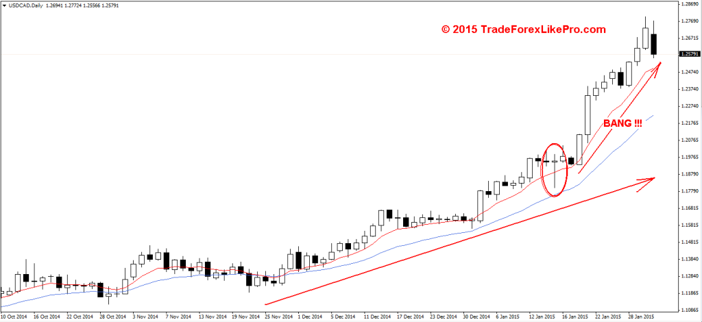 PIN bar buy signal on the daily USD/CAD chart